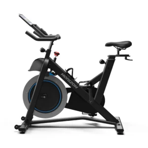 Horizon 5.0IC Indoor Cycle
