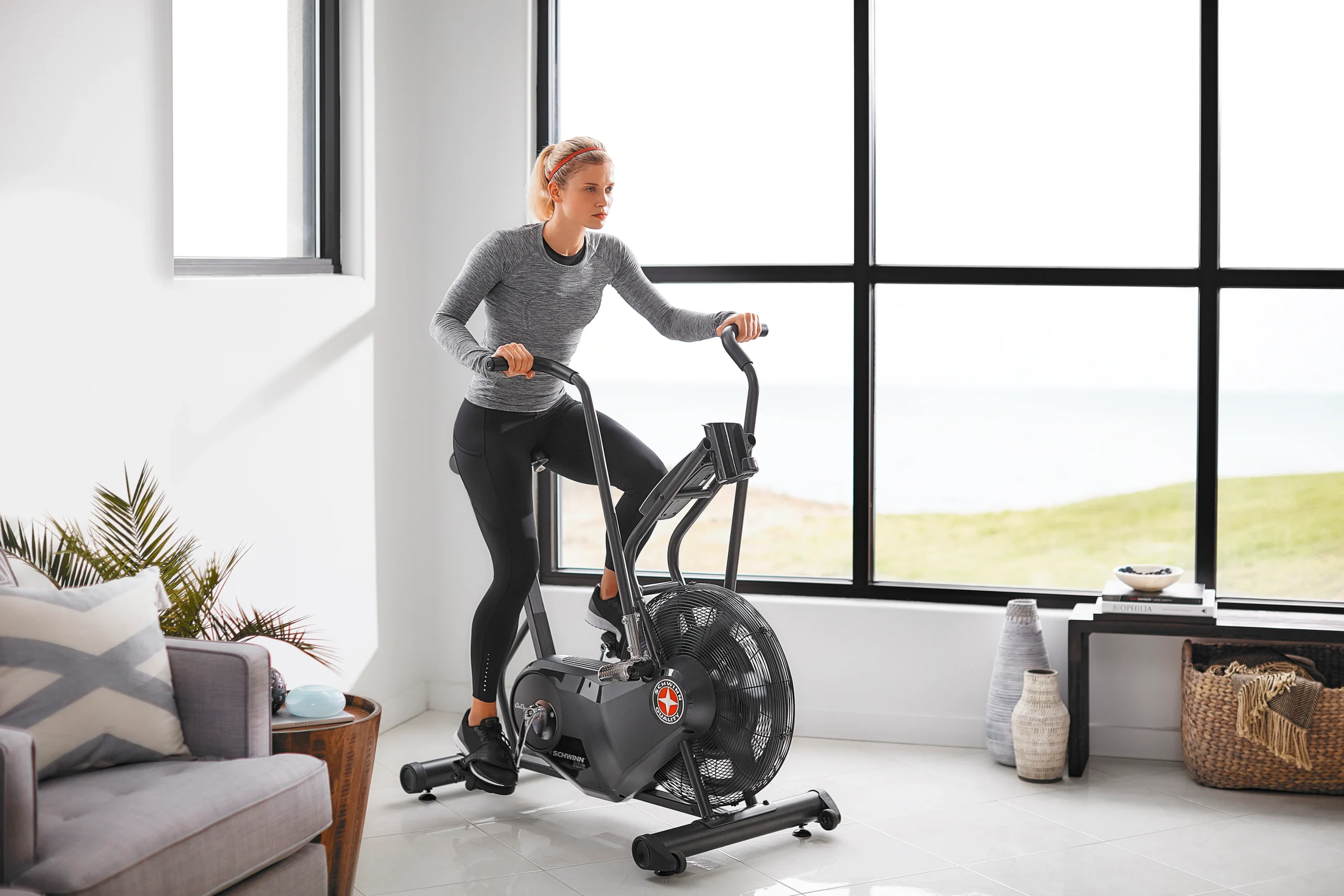 Schwinn AD6i Airdyne Bike 5