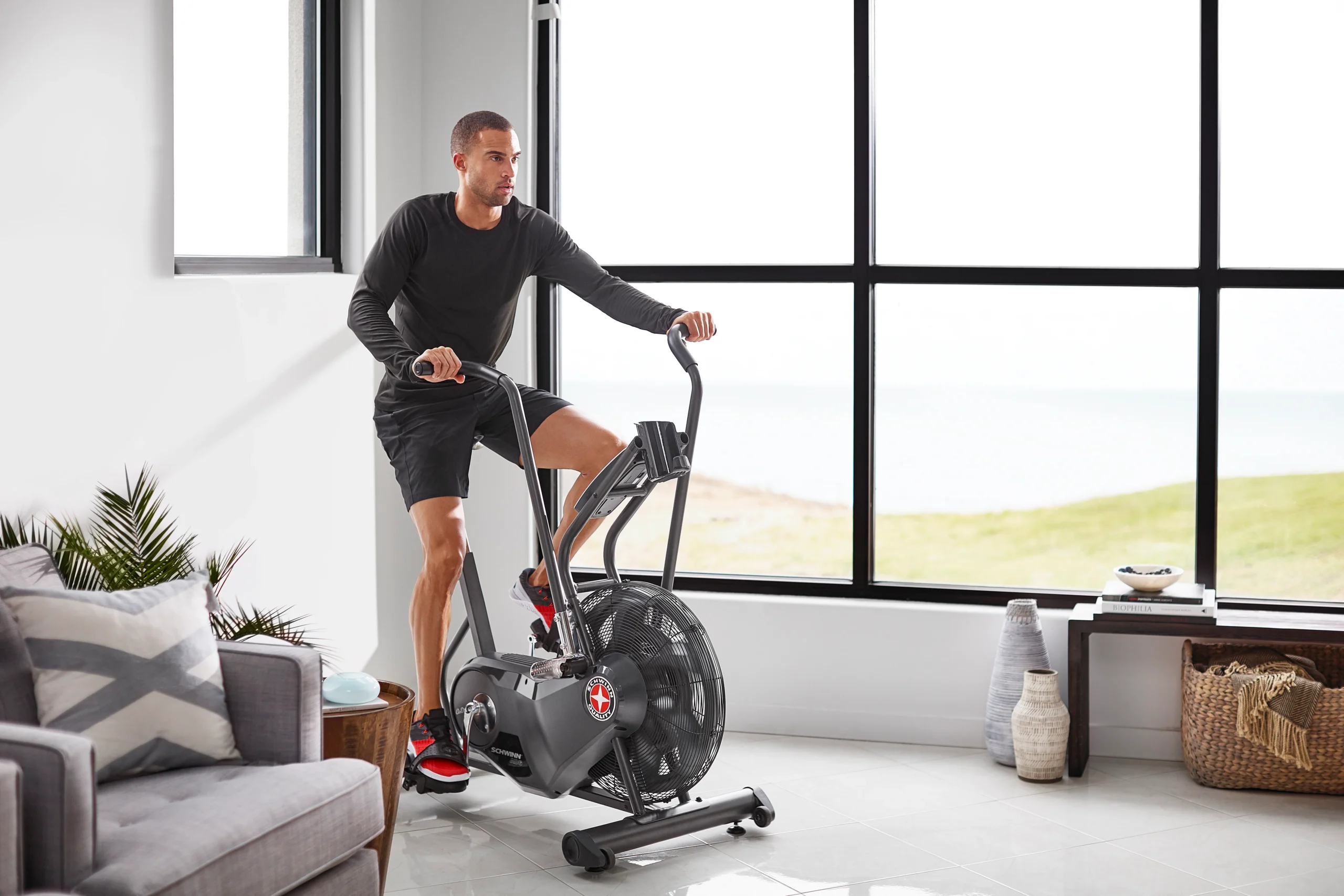 Schwinn AD6i Airdyne Bike 6
